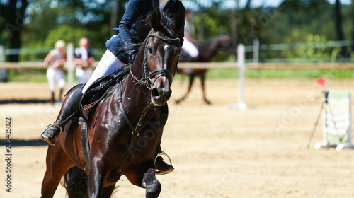Close-up horse with rider galloping on a horse show.. © RD-Fotografie