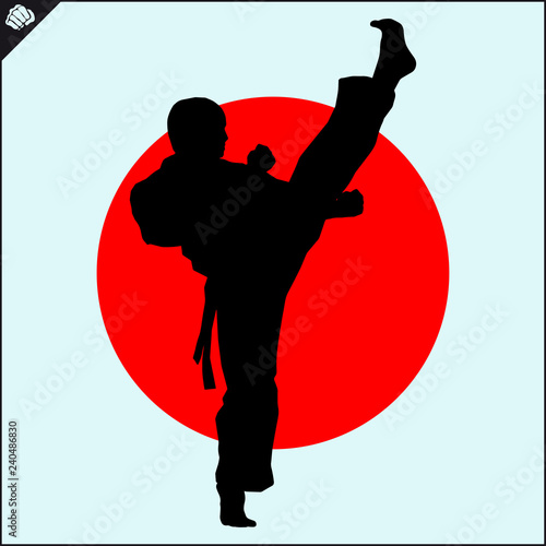 Martial art colored simbol design. Karate emblem.