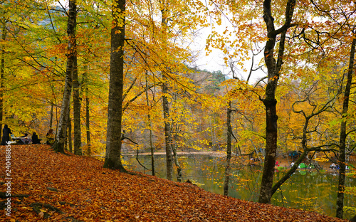autumn in the Yedigoller park, Bolu