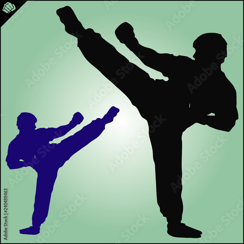 Martial art colored simbol design. Karate emblem.
