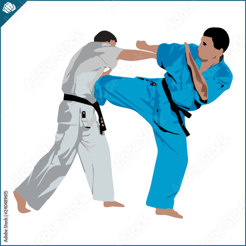 Martial art colored simbol design. Karate emblem.