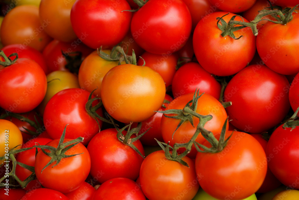 Tomato Close up