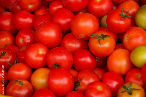 Tomato Close up