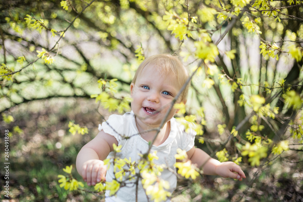 One year old playing alone under blooming forsythia in a park, laughing One year old playing alone under blooming forsythia in a park, laughing