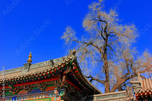 Wallpaper Mural Gray roof in the Five Pagoda Temple, China Torontodigital.ca
