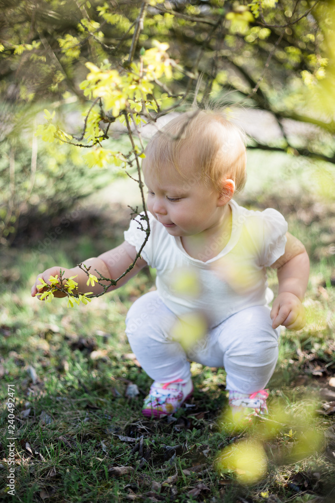 One year old playing alone under blooming forsythia in a park One year old playing alone under blooming forsythia in a park