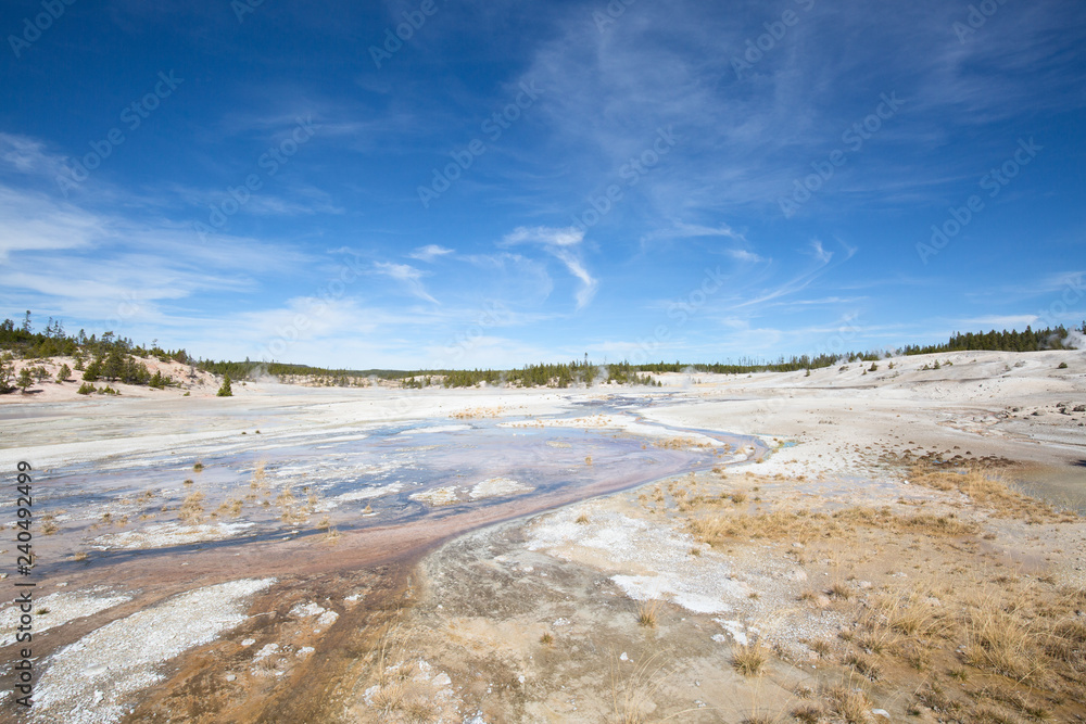 Norris geyser basin