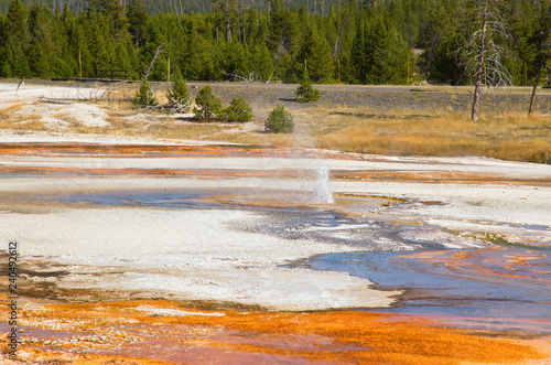 Black sands geyser basin