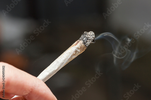 Hand holding a lit, smoking marijuana cigarette