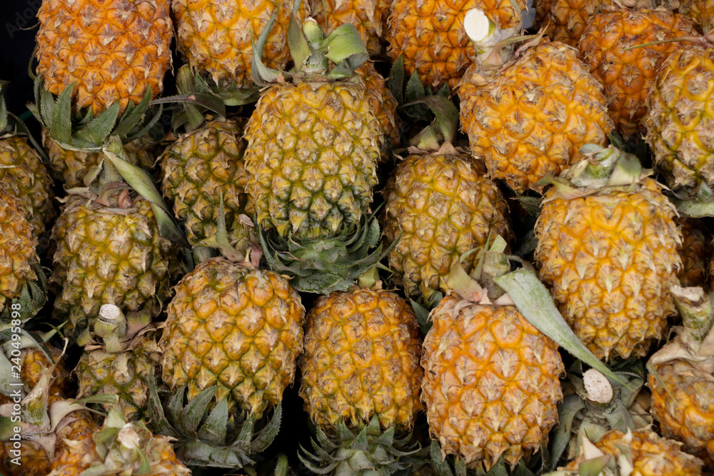 Pineapple Close up Pineapple Close up