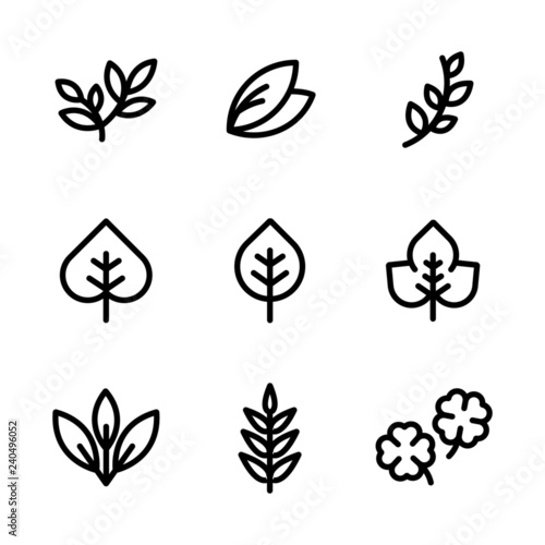 Set of Leaves Icon