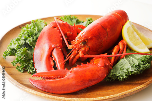 ロブスター Lobster