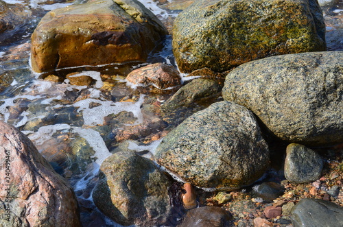 Beach rocks low tide