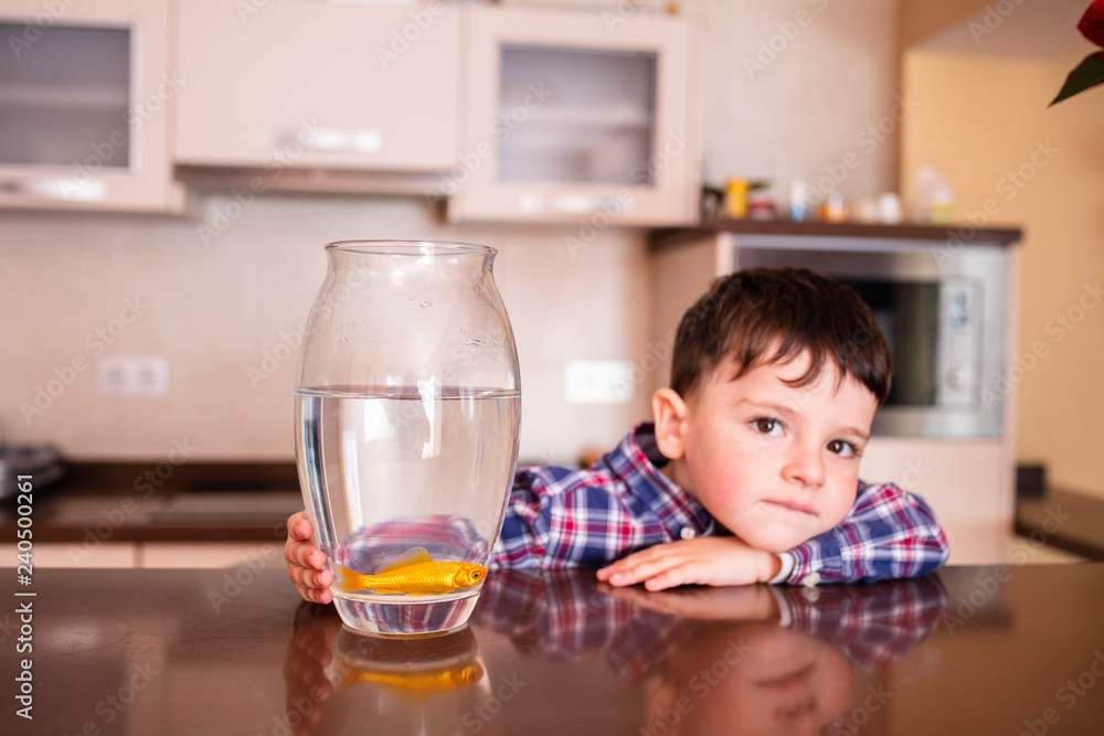 boy plays with fish boy plays with fish