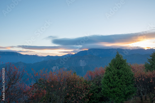 Nature background in Alishan National Park, Taiwan on a wet and foggy morning photo