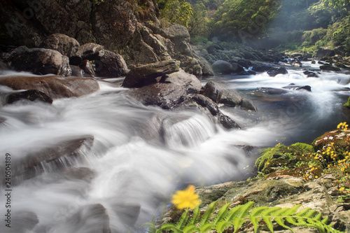 Picture of some small waterfall at a nature river