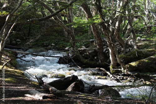 Landscape  waterfall  in  the  forest