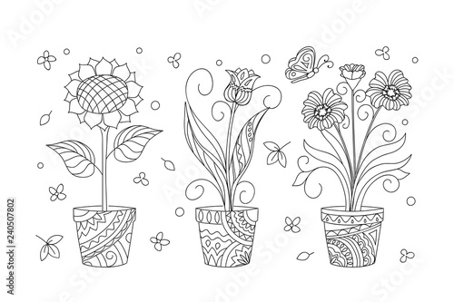 three contour isolated flowers in the pots