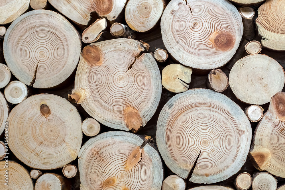 Naklejka premium tree stumps and saws brown and red background