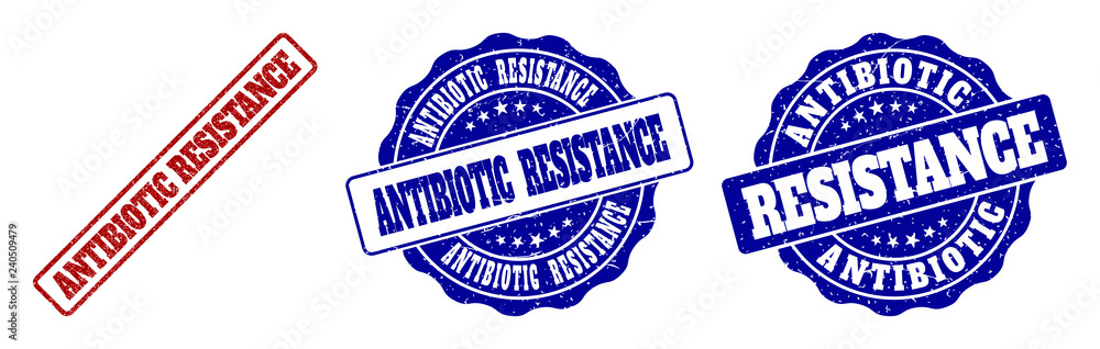 Obraz premium ANTIBIOTIC RESISTANCE grunge stamp seals in red and blue colors. Vector ANTIBIOTIC RESISTANCE watermarks with grunge effect. Graphic elements are rounded rectangles, rosettes,