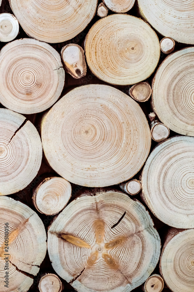 Naklejka premium tree stumps and saws brown and red background