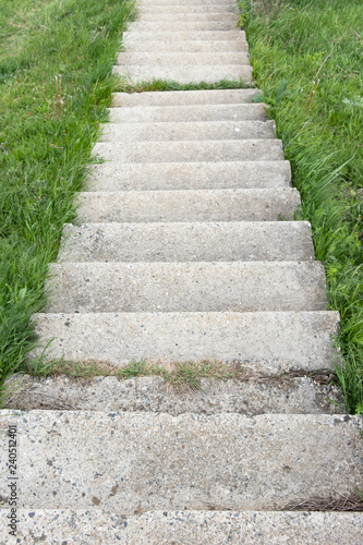 Stone steps going down on the green grass.