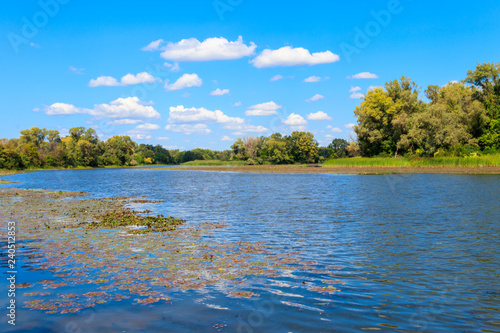 Fototapeta Naklejka Na Ścianę i Meble -  Summer landscape with beautiful river, green trees and blue sky
