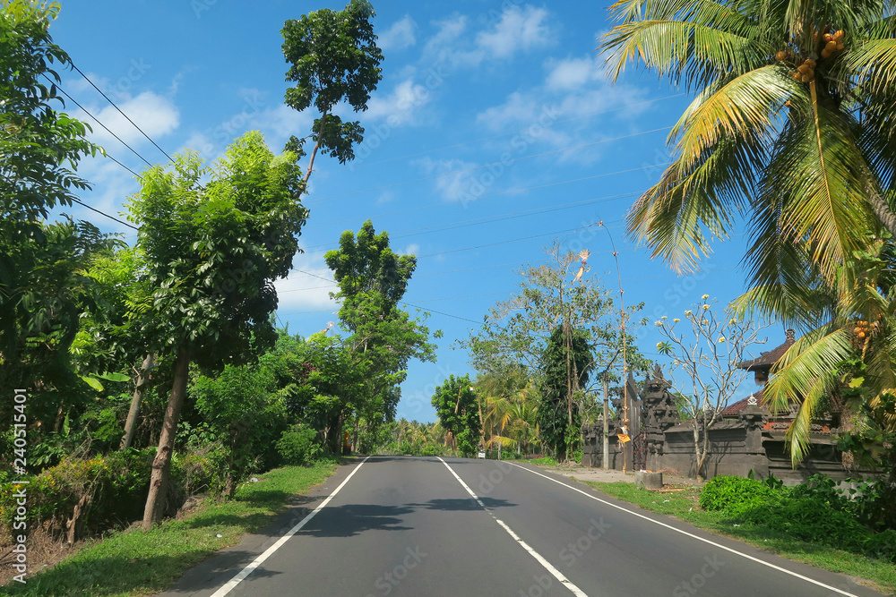 Road through balinese village and forest, Bali, Indonesia