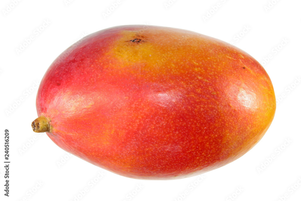 Ripe red mango fruit isolated on white background Ripe red mango fruit isolated on white background