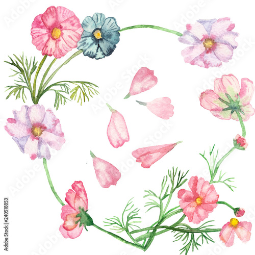 Watercolor pattern, seamless composition delicate pink and blue flowers on green stems with needle leaves isolated on white background. Crumbling flower.