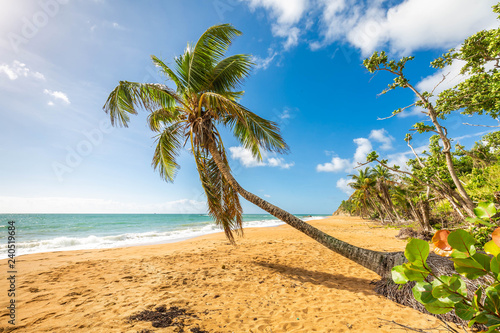 Fototapeta Naklejka Na Ścianę i Meble -  Exotic carribean shore of Puerto Rico Flamenco beach