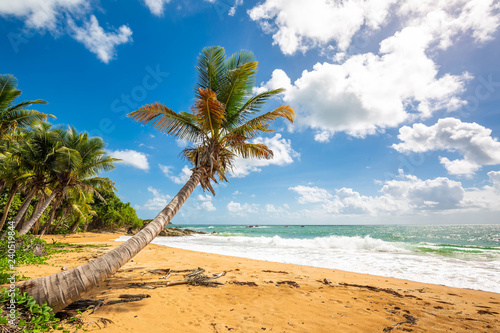 Fototapeta Naklejka Na Ścianę i Meble -  Exotic carribean shore of Puerto Rico Flamenco beach
