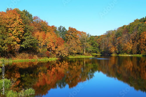 Autumn at the lake