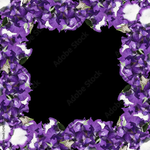 Fototapeta Naklejka Na Ścianę i Meble -  Beautiful floral background of irises 