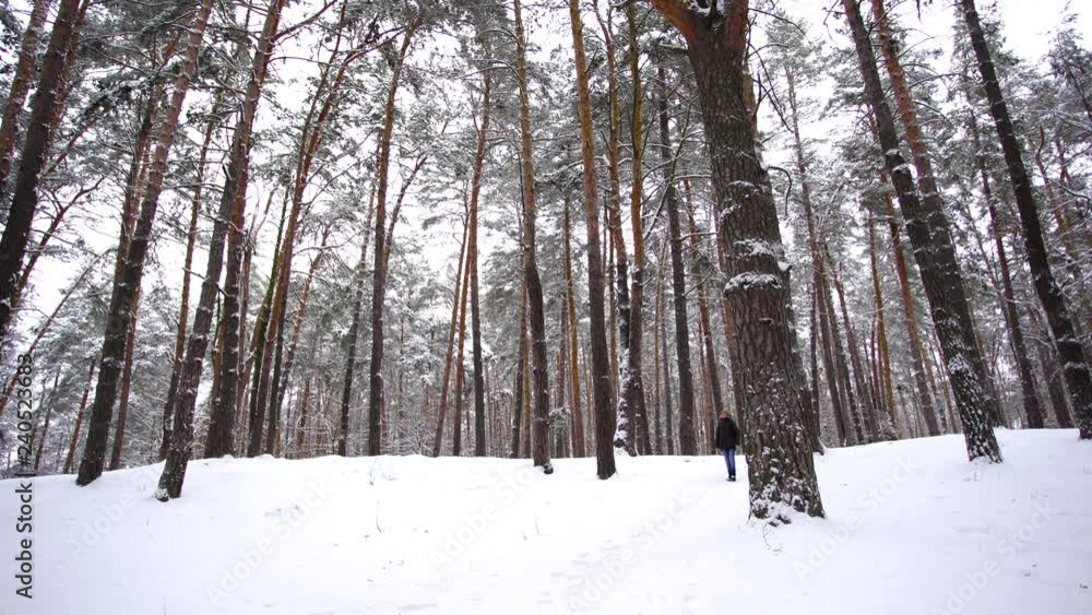 Full length portrait of happy carefree boy walking calmly alone in beautiful snowy forest. Real time full hd video footage. Full length portrait of happy carefree boy walking calmly alone in beautiful snowy forest. Real time full hd video footage.