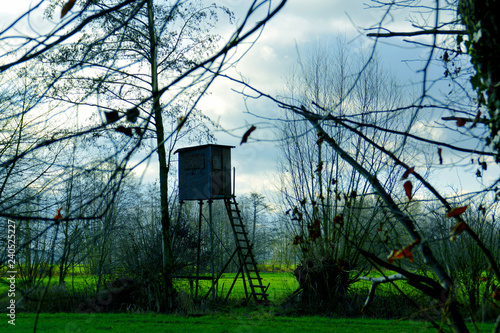 Hochstand Hochsitz photo