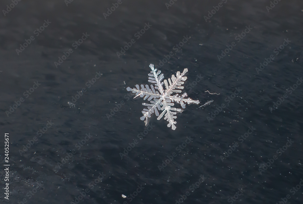 Snowflake Natural Macro Extreme Snowflake Natural Macro Extreme