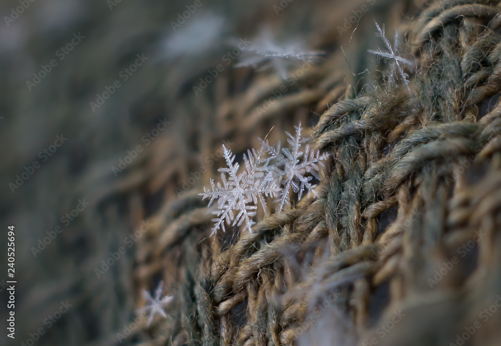 Snowflake Natural Macro Extreme Snowflake Natural Macro Extreme
