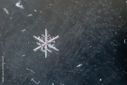 Snowflake Natural Macro Extreme