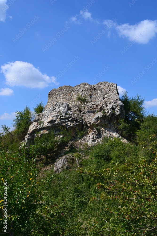 Castle over the Danube