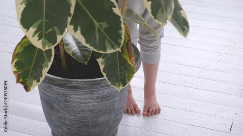 Bare feet in gray pants stand on a white floor next to a ficus