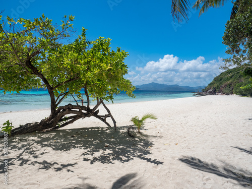 Fototapeta Naklejka Na Ścianę i Meble -  Amazing view of tropical beach on the Banana island, Busuanga, Palawan, Philippines. Beautiful tropical island with sand beach, palm trees. November, 2018