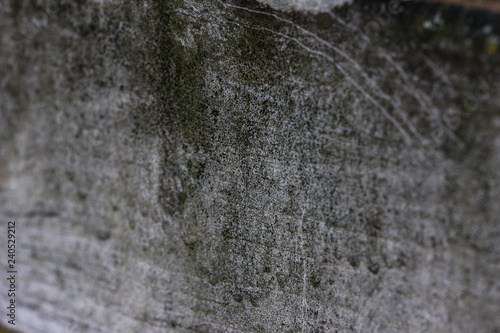 Close Up Of Aged Mossy Wood Fence Plank