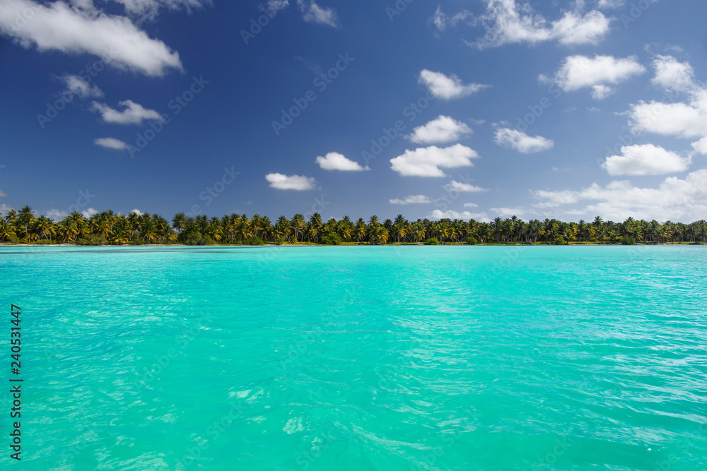Dominican Republic, Caribbean Sea, view from the sea on the island of Saona Dominican Republic, Caribbean Sea, view from the sea on the island of Saona