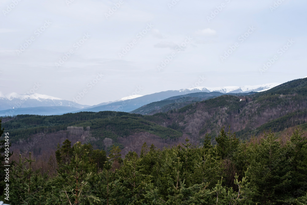 Aerial view of green pine trees in high mountains landscape in Pirin, Bulgaria