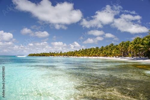 Fototapeta Naklejka Na Ścianę i Meble -  Dominican Republic, the Caribbean Sea, the sunny beaches of Saona Island