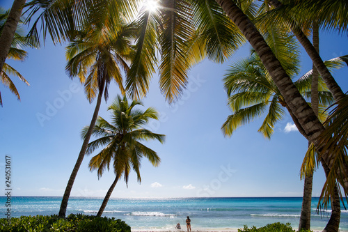 Beach and palm trees of the tropical island of Saona