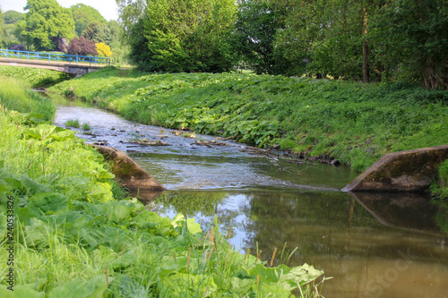 little river in nature