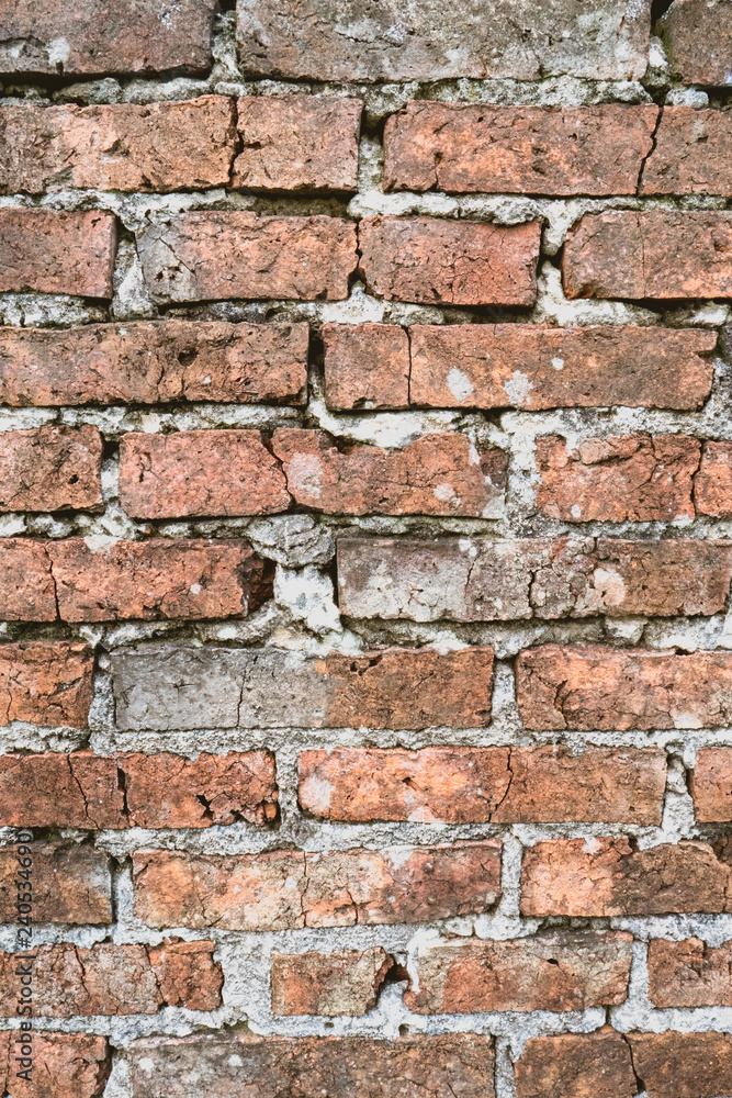 Fototapeta premium bricks background of a wall