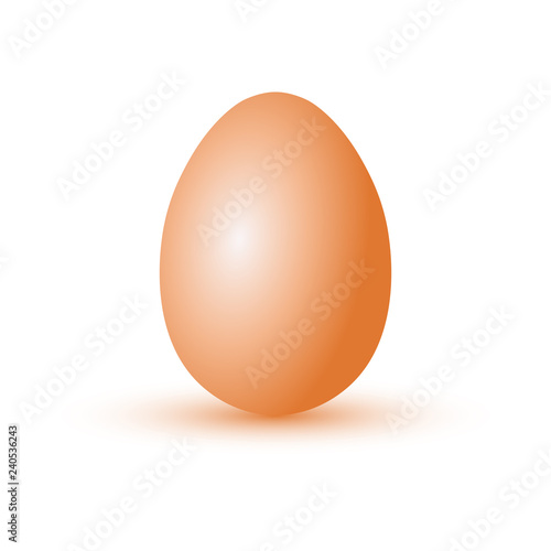 Realistic chicken egg. Vector image. Close-up. Isolated object on white background. Isolate.